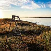 ddos攻击在哪能买到